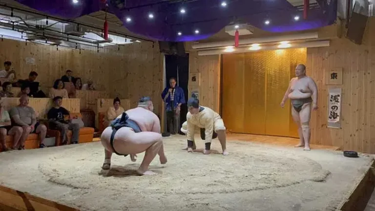 Sumo Show