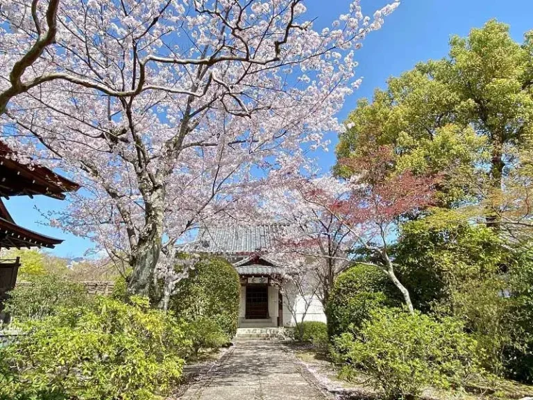 Arashiyama