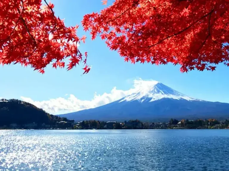 Mt Fuji Autumn