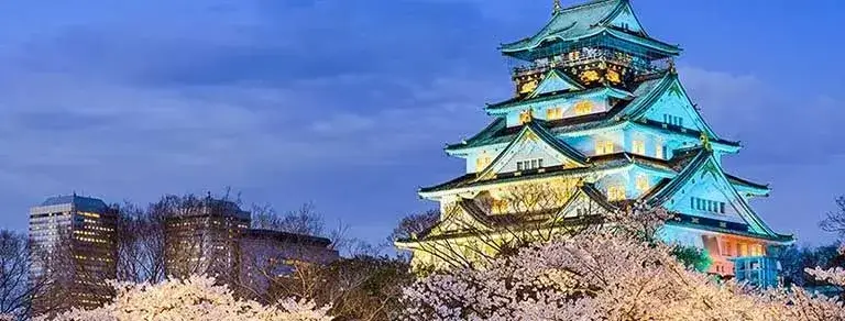 Japan Cherry Blossoms, Anime and Amusement Park Great Tour Package 10 Days