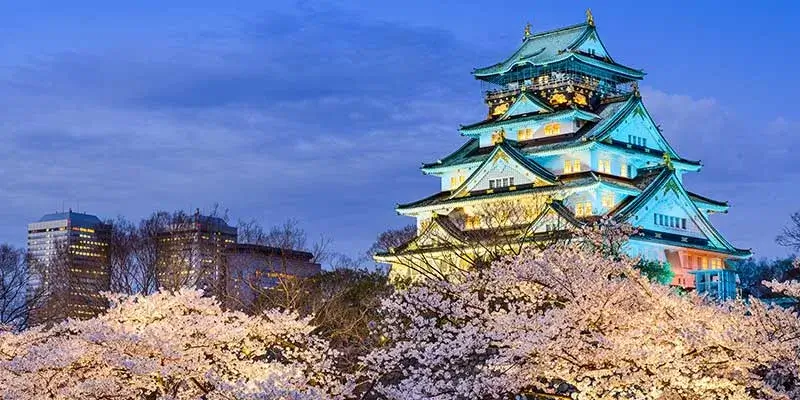 Osaka Castle Spring