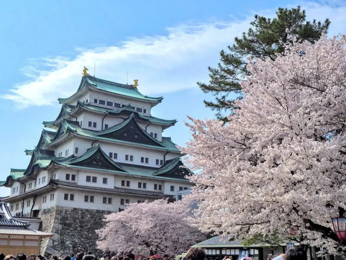 Nagoya-Castle-Spring | Japan City Tour | Travel agency in Tokyo Nagoya Castle