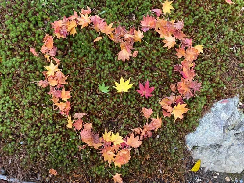 autumn leaves in a heart-shape decoration