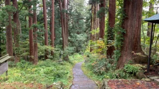 Dewa Sanzan, Yamagata | Peak of the Gods