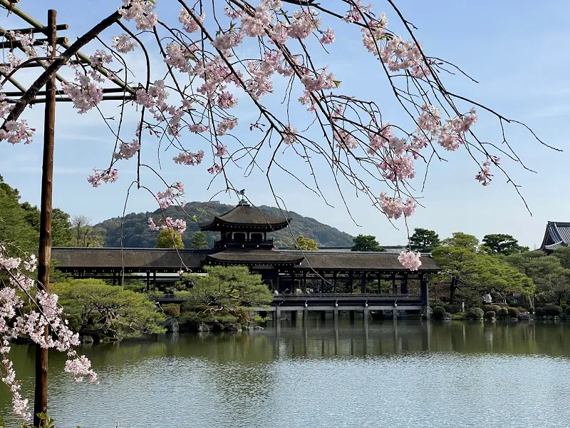 heian jingu kyoto_21 | Japan City Tour | Travel agency in Tokyo garden of Heian Jingu shrine spring