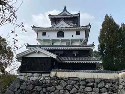 iwakuni_castle_001 | Japan City Tour | Travel agency in Tokyo Iwakuni Castle spring
