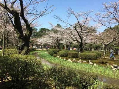 kenrokuen_garden | Japan City Tour | Travel agency in Tokyo Kenrokuen garden, Kanazawa