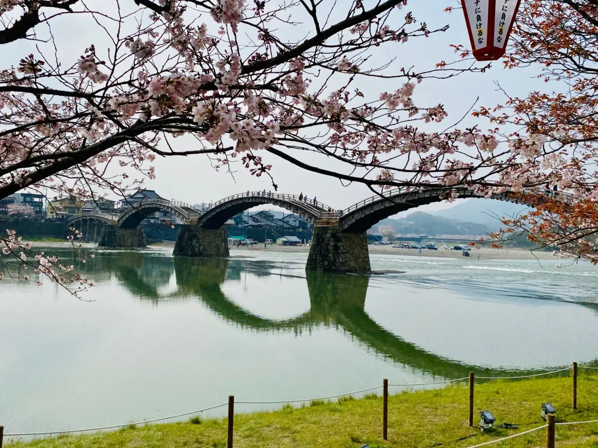 kintai kyo yamaguchi_06 | Japan City Tour | Travel agency in Tokyo kintaikyo Yamaguchi travel guide