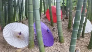 Kodaiji Temple, Kyoto | Beautiful landscape gardens and decorations