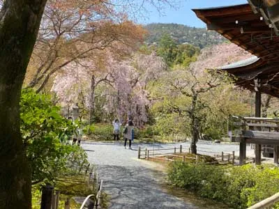 kyoto_004 | Japan City Tour | Travel agency in Tokyo