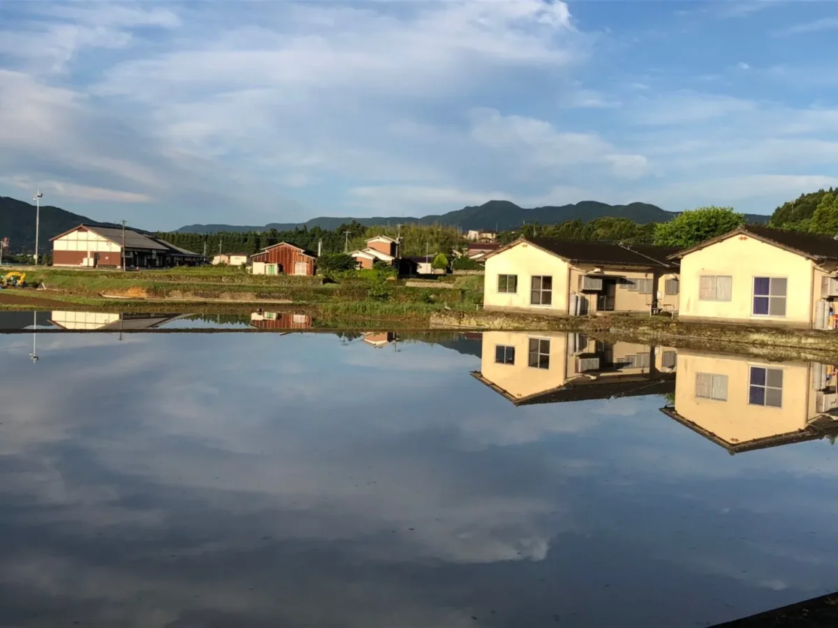 rice field_001 | Japan City Tour | Travel agency in Tokyo rice paddy and Japanese house