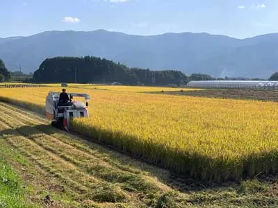 rice_002 | Japan City Tour | Travel agency in Tokyo harvest season