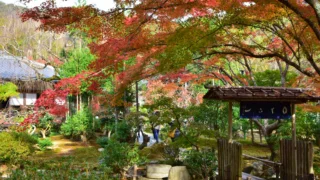 Ryoanji Temple,Kyoto | Beautiful stone garden and a temple where a dragon sleeps