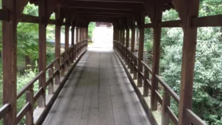 Tofukuji Temple, Kyoto | Beautiful Flowers and Gardens