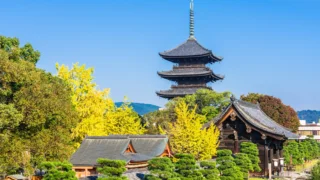 Toji Temple, Kyoto | Five-story pagoda and beautiful scenery