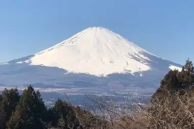 Exciting Mt Fuji E-Bike Private Tour (1 Day)