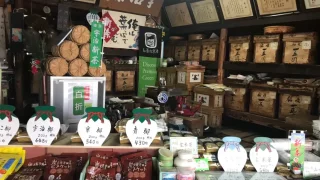 Local Kyoto with its quaint scenery