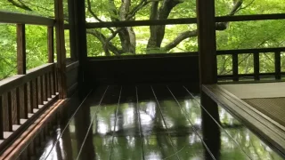 Rurikoin Temple, Kyoto | Spectacular view shining in lapis lazuli