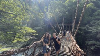 9-Day Small Group Tour West Japan through Shikoku and Kyushu in Cherry Blossoms Season