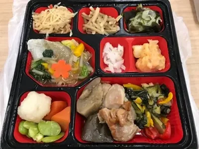 A mid-sized bento lunch in Japan