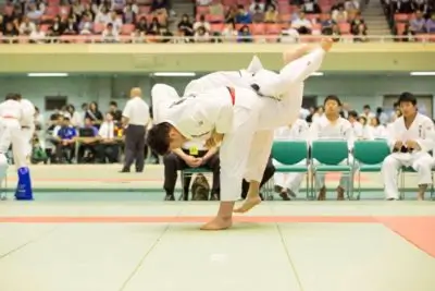 judo
