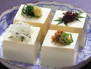 Japanese tofu