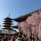 Asakusa, Tokyo | Quaint history and beautiful scenery
