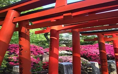 nezu jinja