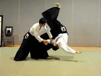 aikido