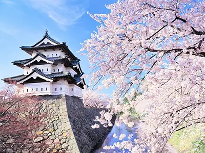 aizu_002 | Japan City Tour | Travel agency in Tokyo Aizuwakamatsu Castle (Tsuruga Castle) with cherry blossoms in Tohoku, Japan