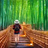 Kyoto City, Kyoto | A city full of beautiful nature and Japanese history