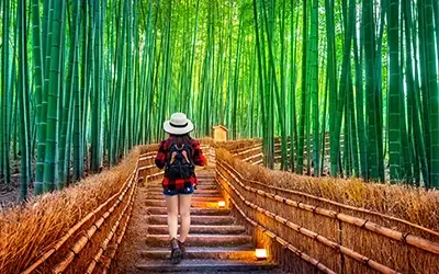 Woman walking in the bamboo grove in Arashiyama, Kyoto, Japan