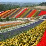 Furano and Biei, Hokkaido | Beautiful rural scenery