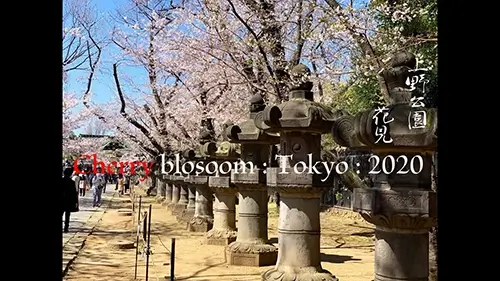 hamani movie | Japan City Tour | Travel agency in Tokyo hamani movie