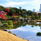 Hamarikyu Gardens: Tokyo’s Seaside Oasis Where History Meets Modernity