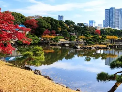 Hamarikyu garden, Tokyo