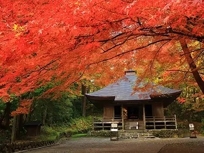 Hiraizumi | Origin of Zipang, the Land of Gold