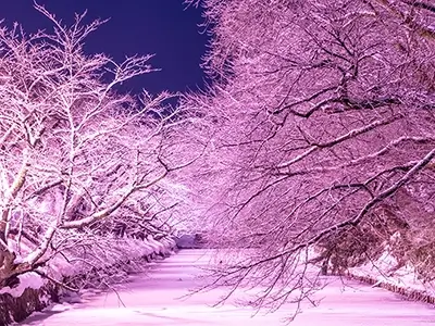 Hirosaki City, Aomori | A town that lives together with beautiful nature in every season