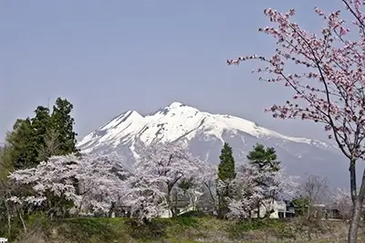 Mount Iwaki with cherry blossoms, Aomori