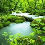 Oirase and Lake Towada, Aomori | Japan’s beautiful wilderness