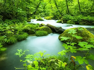 Oirase stream in Aomori, Japan