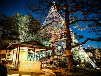 Rikugien Garden in Tokyo with illuminations