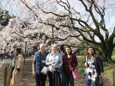 rikugien_001 | Japan City Tour | Travel agency in Tokyo rikugien sakura