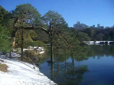 rikugien_002 | Japan City Tour | Travel agency in Tokyo winter in tokyo, japan