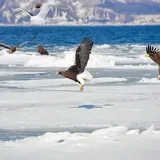 Shiretoko and Abashiri, Hokkaido | Nature that can only be experienced in the farthest reaches of the earth