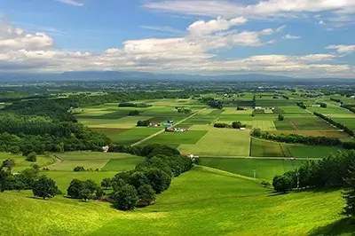 tokachi-plain | Japan City Tour | Travel agency in Tokyo Fields in Tokachi, Hokkaido, Japan