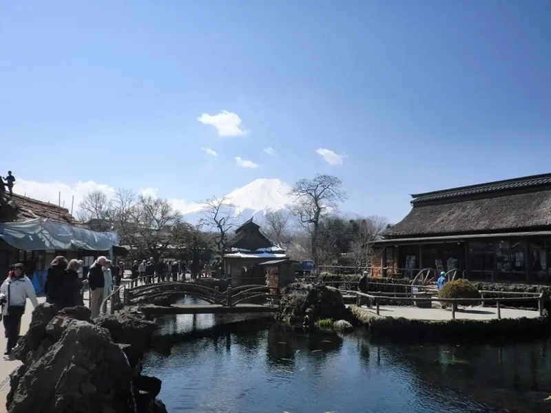 Oshinohakkai, Mt.fuji view