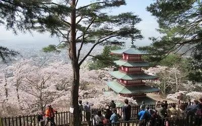 Arakurayama with the Chureito Pagoda, sakura and Mt Fuji in Kawaguchiko