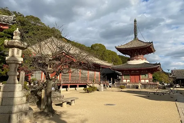 jodoji temple onomichi hiroshima