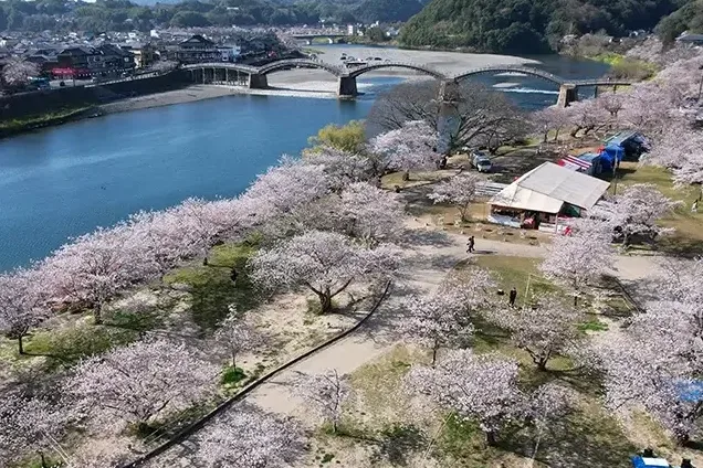 iwakuni kintaikyo bridge